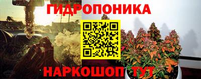 гидра Донецк