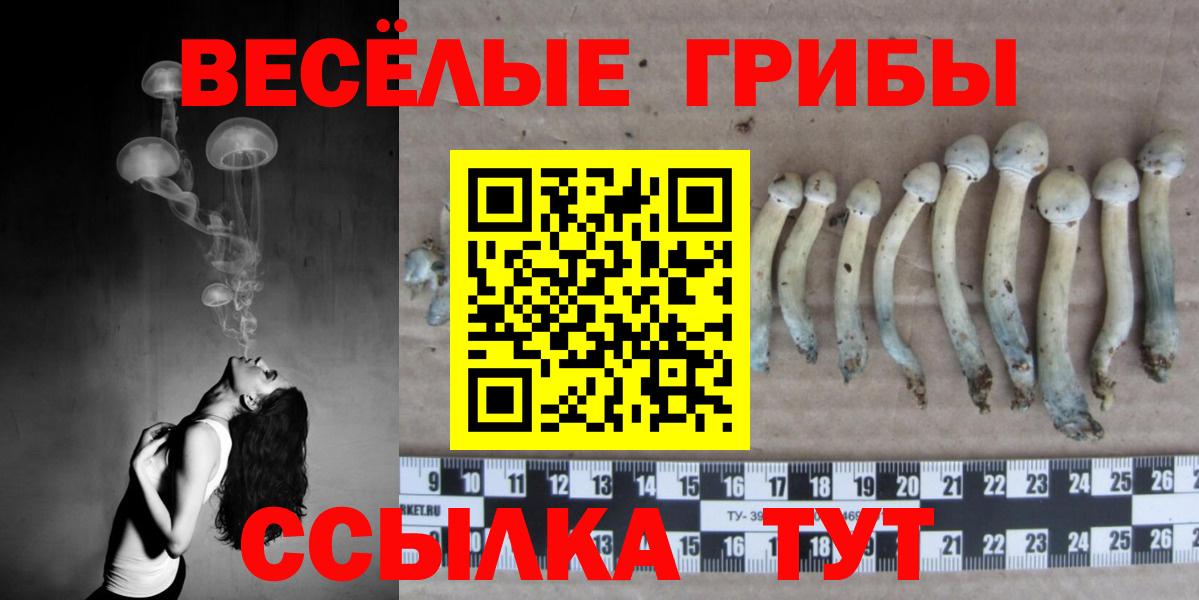 Псилоцибиновые грибы Psilocybine cubensis Феодосия